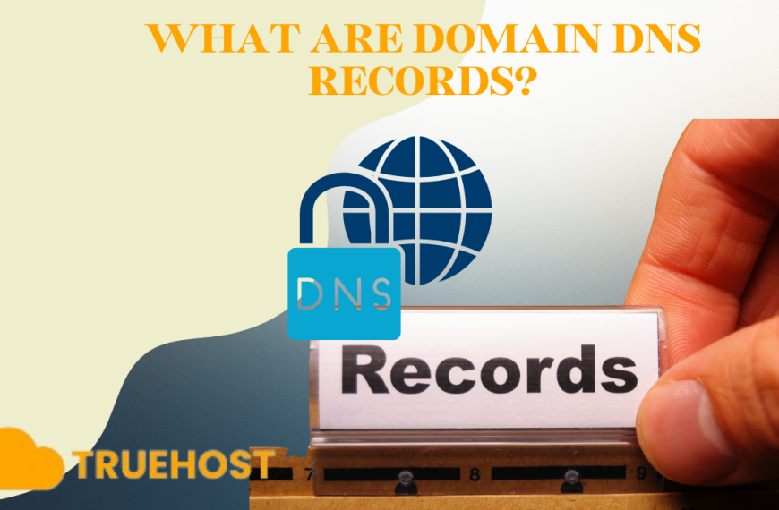 What Are Domain DNS Records in Tanzania
