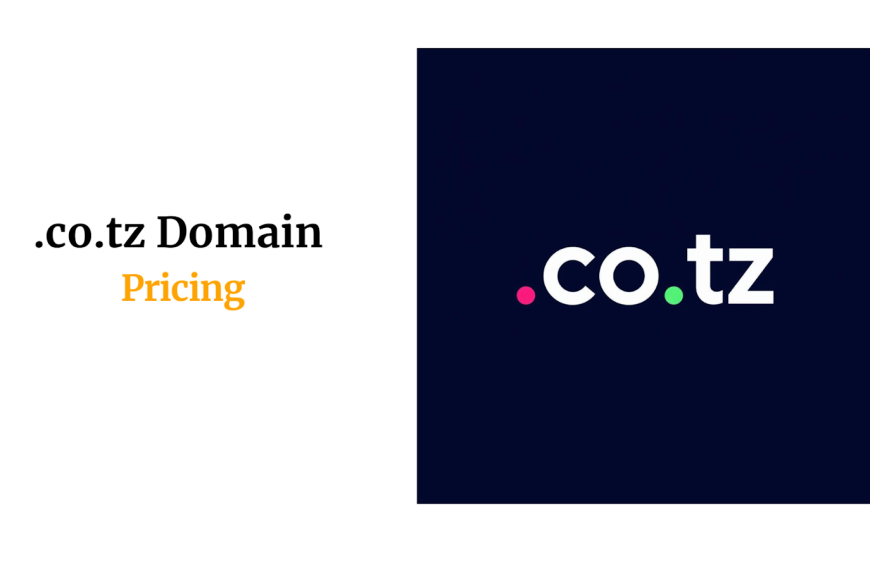 .co.tz Domain Pricing: What You Should Really Expect to Pay